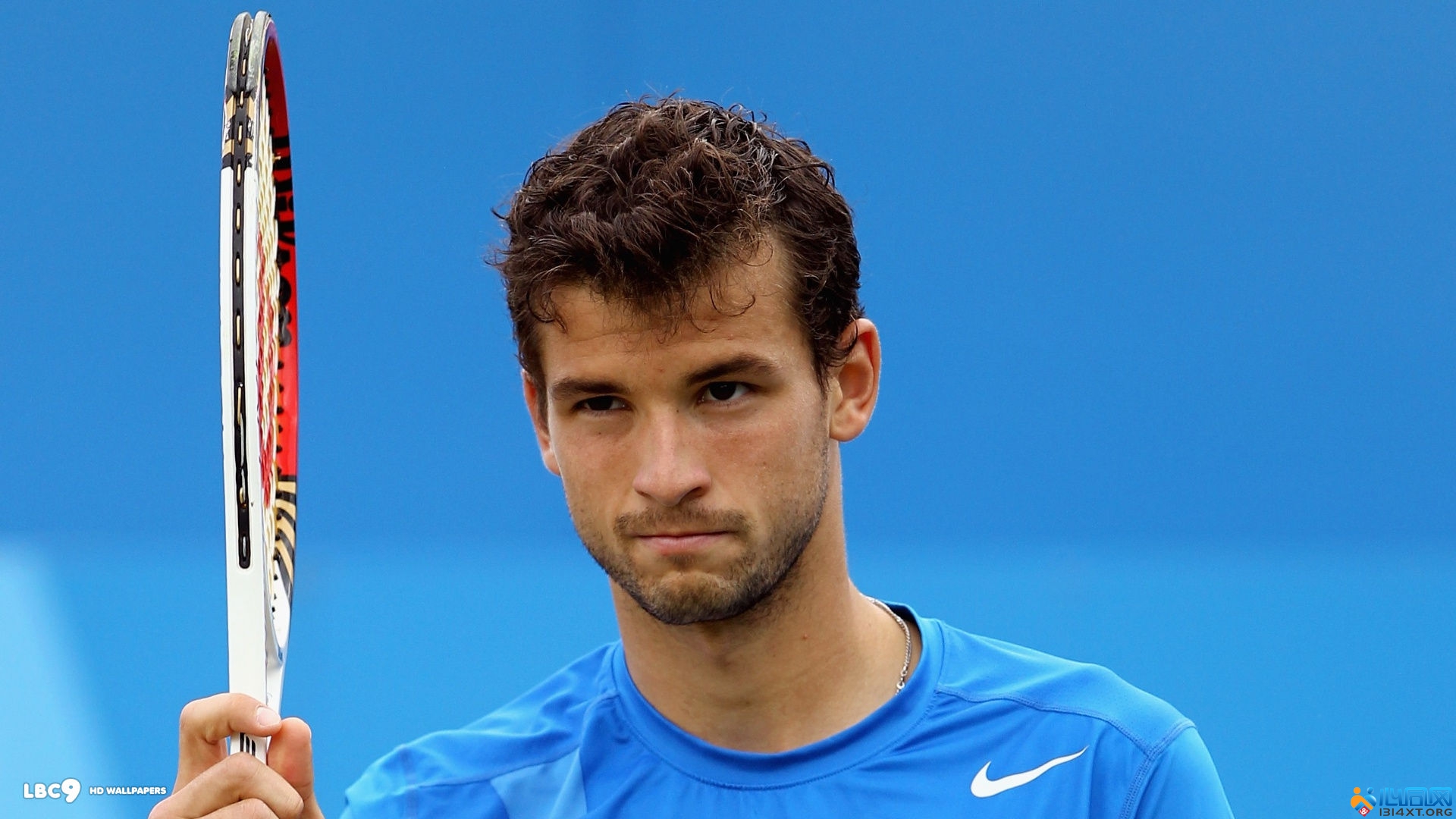 季的赛程将 季的赛程将